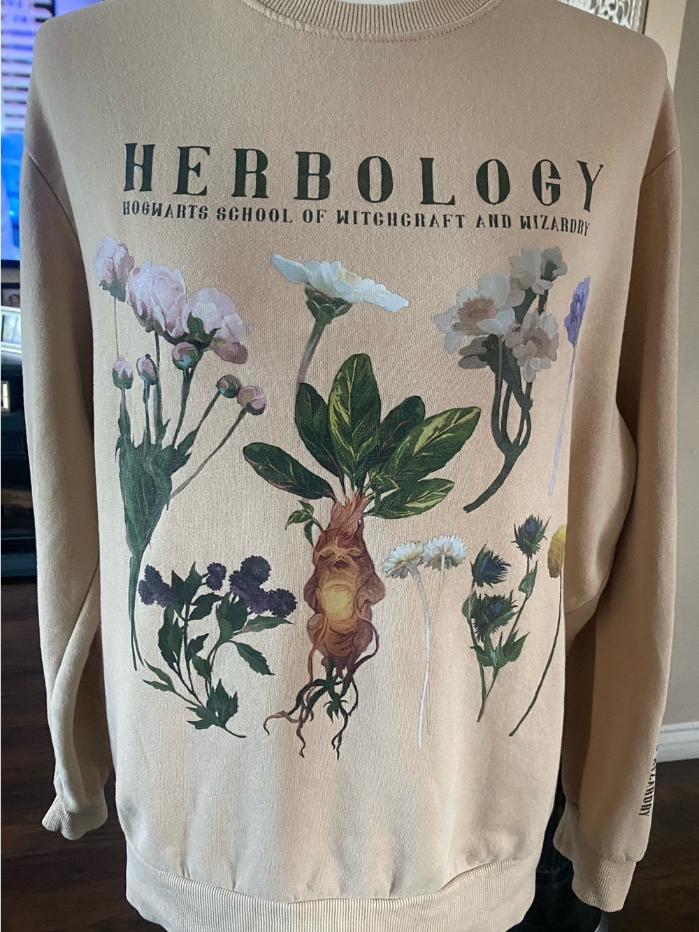 Herbology Crewneck Sweatshirt - Beige Botanical Graphic- Unisex